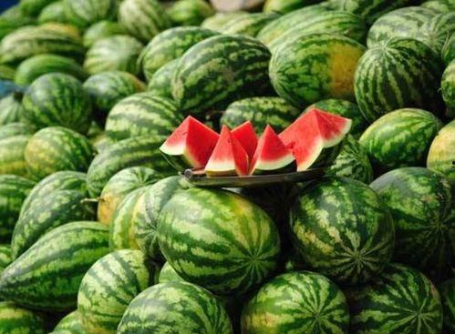 网红培训西瓜视频教程,打造爆款短视频的秘诀解析