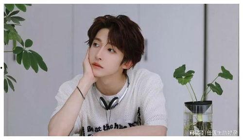 明星刘宇,星光璀璨的青春偶像，闪耀舞台的璀璨之星