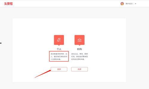 头条官网注册地址,一键解锁精彩内容之旅”