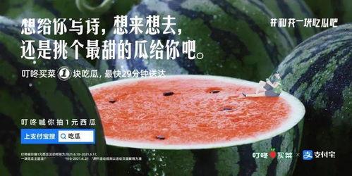 勺子吃瓜文案短句,轻松解读生活百态