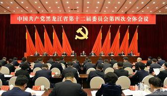 哈尔滨市新闻头条环保,绿色行动，共建美丽家园