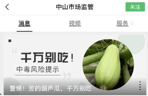 吃瓜吃到苦味,揭秘背后真相与反思