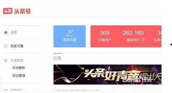 头条视频标题在哪看,头条视频标题“在哪看”背后的秘密解析