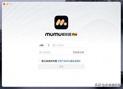 今日头条任务版下载地址,一键下载，轻松完成任务