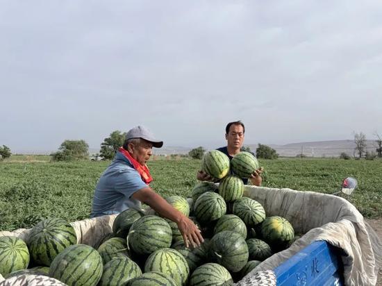 翰林广场吃瓜比赛,夏日狂欢，瓜技巅峰对决！