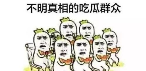 吃瓜怎么聊,轻松开启趣味对话新篇章