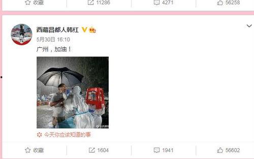 河南受灾明星捐款查询,河南受灾明星捐款情况盘点