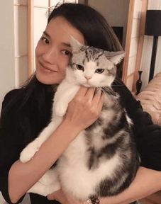 爱猫明星,揭秘爱猫明星的猫界传奇