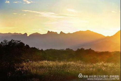 枫林镇网红,网红打卡地，魅力乡村新风尚