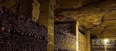 地下墓穴在线观看