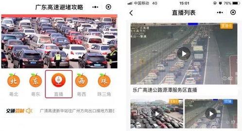 涉县台西新闻头条直播,聚焦涉县台西最新动态，直播呈现精彩瞬间