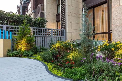 今日头条小花园拍摄技巧,捕捉自然美景的五大技巧