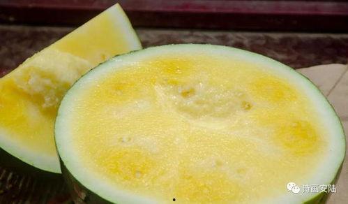 瓜不甜蘸什么吃,蘸什么？探索美味新搭配
