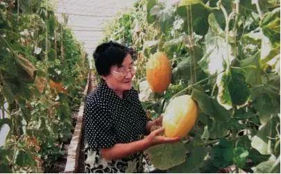 87岁扶墙吃瓜,岁月静好，人间烟火