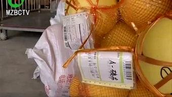 梅州头条有哪些,聚焦梅州最新动态，尽览城市风采