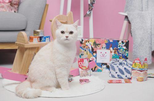 微头条小宠物视频,微头条小宠物视频集锦