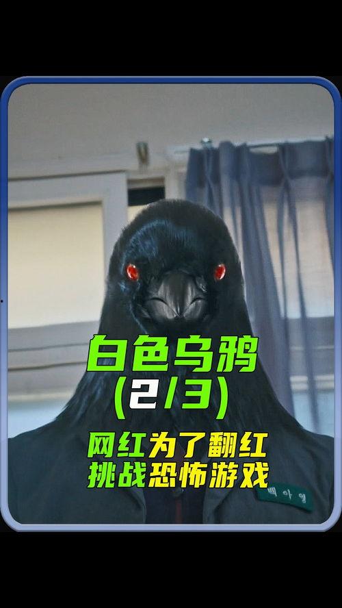 网红电影游戏广告语,广告语中的魅力世界