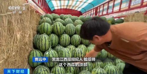 吃瓜价钱,揭秘夏日消暑美食的“甜蜜”代价