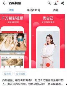 头条直播中的西瓜,甜蜜瞬间，尽在头条