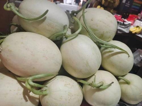 44中吃瓜,揭秘校园里的“瓜田”风云