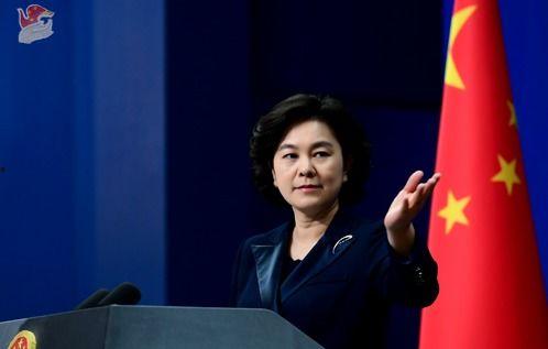 华春莹每日大赛,华春莹每日大赛精彩瞬间回顾