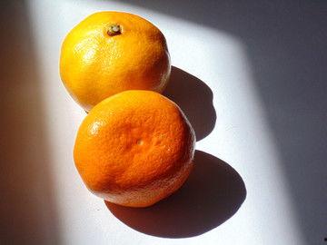 网红小金桔脚图