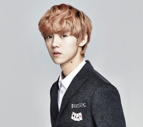 网易娱乐频道鹿晗吃瓜,娱乐圈新热点引发网友热议